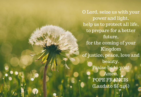 World-day-of-prayer-for-creation